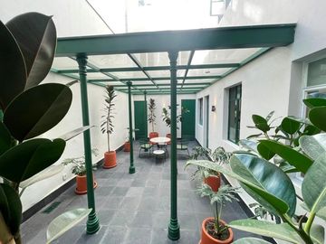 Departamento en Renta, Colonia San Rafael