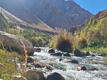 Bello entorno y acceso al rio