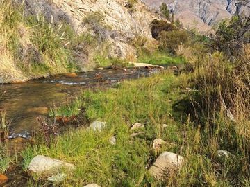 Bello entorno y acceso al rio