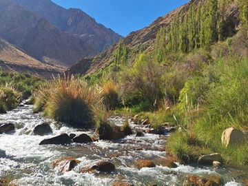 Bello entorno y acceso al rio