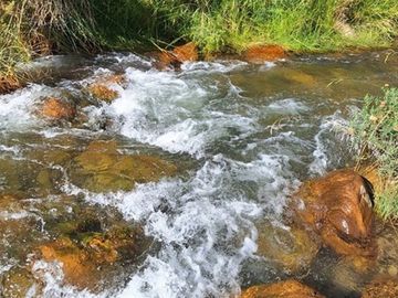 Bello entorno y acceso al rio