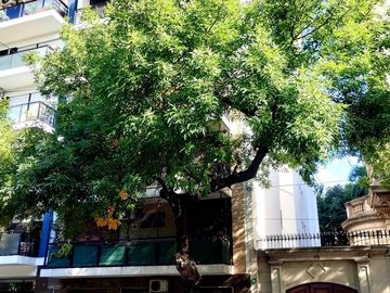 VENTA 4 AMB EDIFICIO FRENTE A PARQUE RIVADAVIA!!!