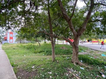 En venta terreno  en  Calle Palmas Mcarthur y Arco Norte Fraccionamiento Las Palmas II  C3940