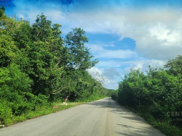 Terreno de 8,463 m2  en venta Ruta de los cenotes Km 6 Puerto Morelos P4518