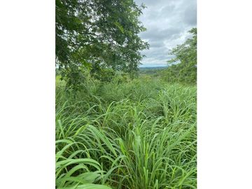 VENDO FINCA  VIA   MONTERIA  PLANETA RICA CORDOBA