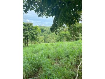 VENDO FINCA  VIA   MONTERIA  PLANETA RICA CORDOBA