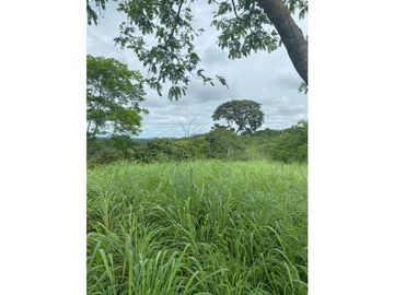 VENDO FINCA  VIA   MONTERIA  PLANETA RICA CORDOBA