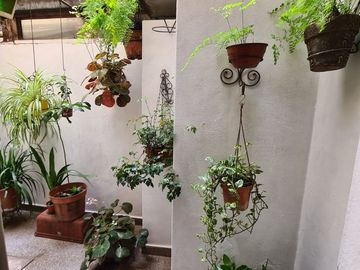 VENTA DEPTO 3 AMBIENTES  PB 2  PATIOS APTO CREDITO