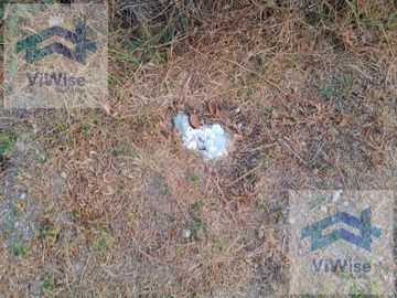 TERRENO CON TOMA DE AGUA, LUZ, DRENAJE Y AMENIDADES EN VENTA CD MADERAS MONTAÑA