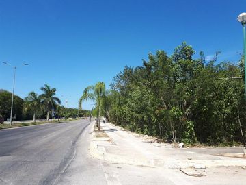 Lote Comercial en Venta en Av Universidades Arrecifes Playa del Carmen P2611