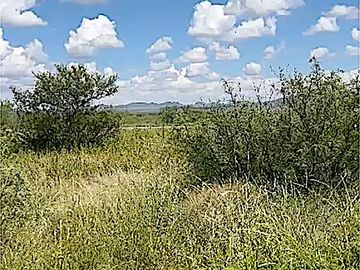 OPORTUNIDAD ÚNICA: VENTA DE RANCHO MIXTO (AGRICULTOR Y GANADERO) CON ALTO POTENCIAL HÍDRICO, Fergo