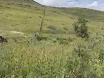 OPORTUNIDAD ÚNICA: VENTA DE RANCHO MIXTO (AGRICULTOR Y GANADERO) CON ALTO POTENCIAL HÍDRICO, Fergo