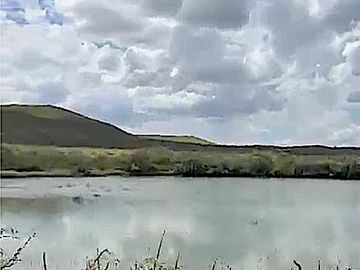 OPORTUNIDAD ÚNICA: VENTA DE RANCHO MIXTO (AGRICULTOR Y GANADERO) CON ALTO POTENCIAL HÍDRICO, Fergo