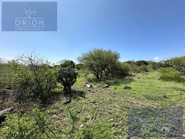 Terreno Venta Queretaro Amazcala con uso suelo Granja Residencial  Campestre cerca aeropuerto