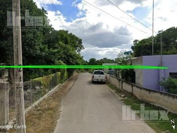 SE VENDE AMPLIO TERRENO EN DZIBALCHÉN EN EL MUNICIPIO DE HOPELCHÉN, CAMPECHE