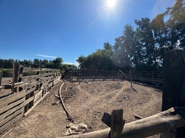 VENTA FINCA 93.749 m²- PERICO- PUESTO VIEJO- JUJUY