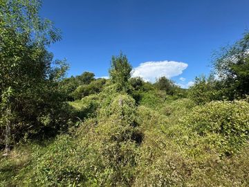VENTA FINCA 93.749 m²- PERICO- PUESTO VIEJO- JUJUY