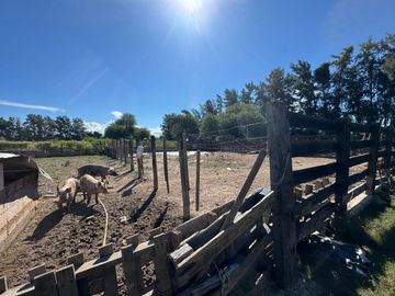 VENTA FINCA 93.749 m²- PERICO- PUESTO VIEJO- JUJUY