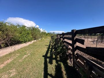 VENTA FINCA 93.749 m²- PERICO- PUESTO VIEJO- JUJUY