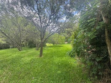 VENTA TERRENO 956,86 M2 - B° ALTO LA VIÑA