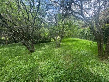 VENTA TERRENO 956,86 M2 - B° ALTO LA VIÑA