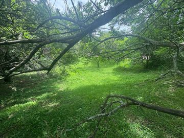 VENTA TERRENO 956,86 M2 - B° ALTO LA VIÑA