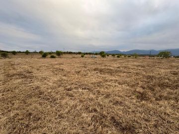VETA TERRENO 1230M2 ESQUINA B°EL MOLLAR LA ALMONA