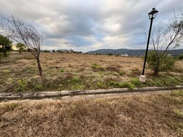 VETA TERRENO 1230M2 ESQUINA B°EL MOLLAR LA ALMONA