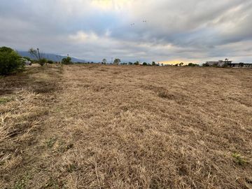 VETA TERRENO 1230M2 ESQUINA B°EL MOLLAR LA ALMONA