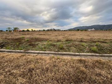 VETA TERRENO 1230M2 ESQUINA B°EL MOLLAR LA ALMONA