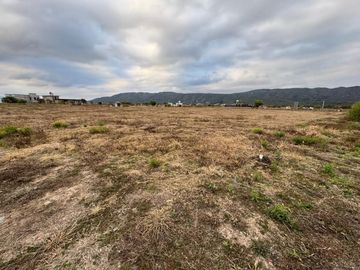 VETA TERRENO 1230M2 ESQUINA B°EL MOLLAR LA ALMONA