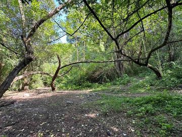 VENTA TERRENO 9667,20 M2 LOS PERALES