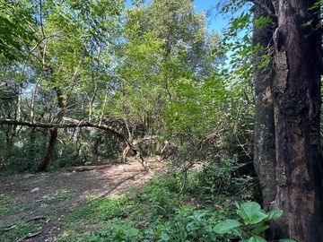 VENTA TERRENO 9667,20 M2 LOS PERALES