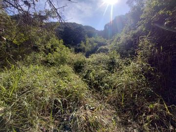 VENTA TERRENO 9667,20 M2 LOS PERALES