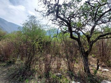 VENTA TERRENO 920,71 M2 BARCENA