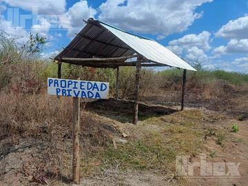 ¡GRAN OPORTUNIDAD! 1820 HECTÁREAS EN VENTA EN CHAMPOTÓN