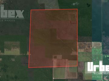 ¡GRAN OPORTUNIDAD! 1820 HECTÁREAS EN VENTA EN CHAMPOTÓN