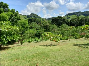 FINCA DE LUJO EN VENTA CON CASA Y ACCESO AL RO (C.P)