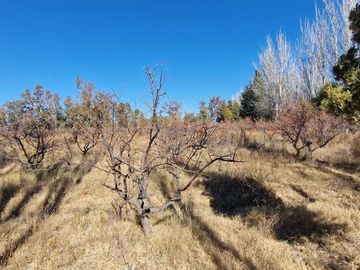 VENTA FINCA 10,8 HAS EN SAN ROQUE JACHAL