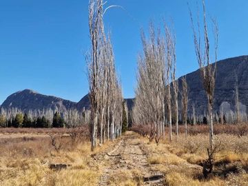 VENTA FINCA 10,8 HAS EN SAN ROQUE JACHAL