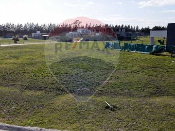 LOTE INTERNO SAN SIMON