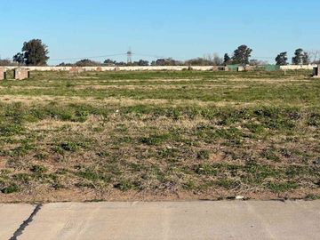 LOTE INTERNO SAINT THOMAS CHICO
