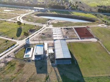 LOTE INTERNO SAINT THOMAS CHICO