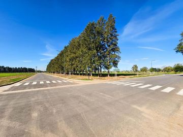 VENTA LOTE 600MTS - ECOLAGOS OESTE - GRAL LAGOS