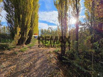 CHACRA FRENTE DE RUTA - CAMPO GRANDE