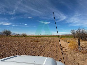 Venta de Rancho Agricola en Mpio. El Sauz, Fergon