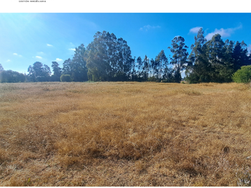 CAMPO 6,8 HA CERCA CIUDAD RUTA S-40 PLANO