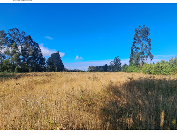 CAMPO 6,8 HA CERCA CIUDAD RUTA S-40 PLANO
