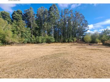 CAMPO 6,8 HA CERCA CIUDAD RUTA S-40 PLANO