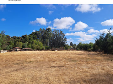 CAMPO 6,8 HA CERCA CIUDAD RUTA S-40 PLANO